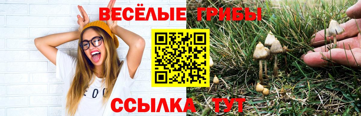 Галлюциногенные грибы ЛСД Михайловск