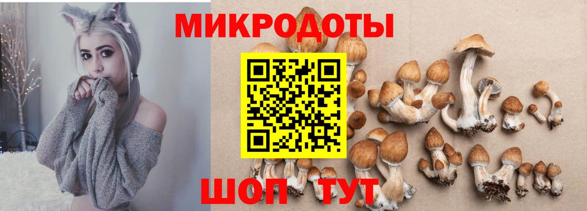 Псилоцибиновые грибы мухоморы  Вход с VPN  Псилоцибиновые грибы MAGIC MUSHROOMS  Михайловск 